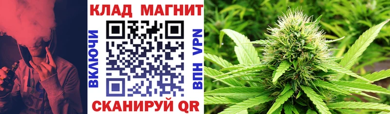 Сколько стоит Александров Марихуана  Псилоцибиновые грибы  АМФЕТАМИН  Меф  Кокаин 