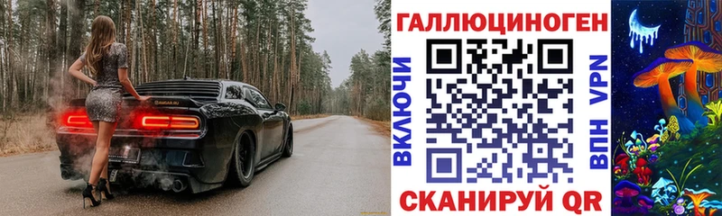Псилоцибиновые грибы мицелий  Александров 