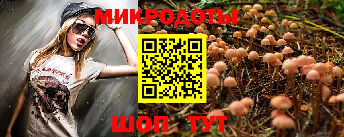 Псилоцибиновые грибы MAGIC MUSHROOMS Александров