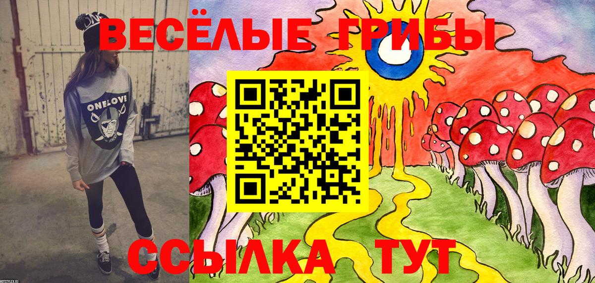 Александров  Псилоцибиновые грибы ЛСД  Псилоцибиновые грибы Magic Shrooms  Вход с VPN 